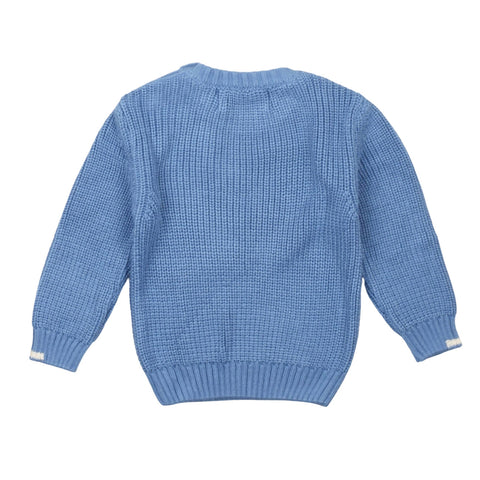 Maglia girocollo bambino cielo in cotone e viscosa, lavorazione a maglia, retro